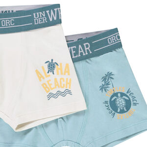 Σετ από 5 μποξεράκια με σχέδιο Turtle Island για αγόρι 