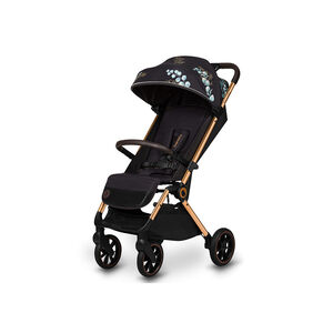 Καρότσι Ταξιδίου Cloe έως 22kg Golden Moments Lionelo 