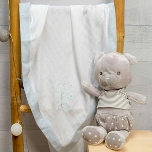 Πάνα χασέ carot Μέντα 