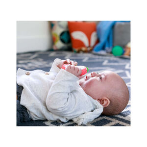 Μασητικό Οδοντοφυΐας Vibrating Teether Apple από Πλαστικό για 3 m+ 