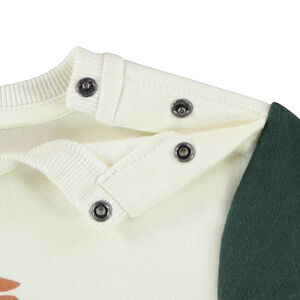 Φούτερ molleton με σχέδιο ηφαίστειο για bebe αγόρι 