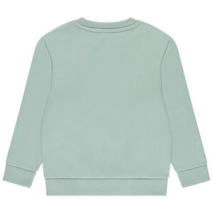 Sweat en molleton print fantaisie pour garçon 