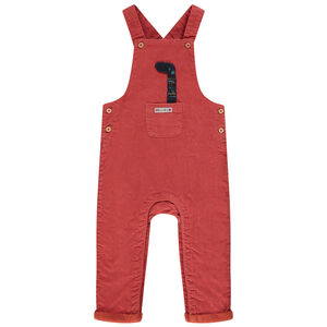 Σαλοπέτα μακρυά βελουτέ και φοδρα micropolaire για bebe αγόρι 