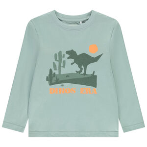 Μακρυμάνικο μπλουζάκι με σχέδιο για αγόρι 