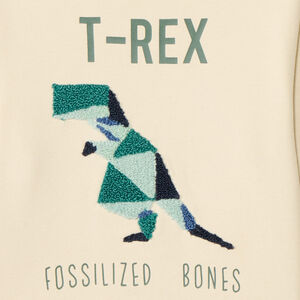 Φούτερ molleton με πολύχρωμο κέντημα πόρπη για αγόρι 