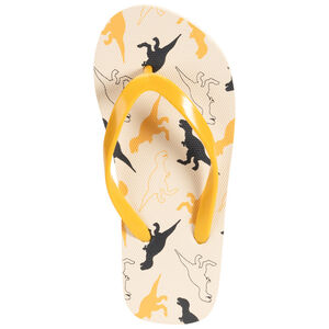 Σαγιονάρες με print T-Rex για αγόρι με λουράκι ανάλογα με την ηλικία 