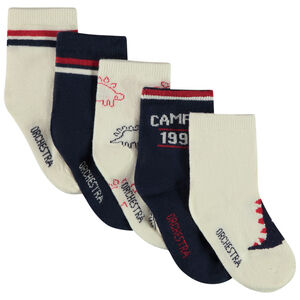 Σετ από 5 ζευγάρια κάλτσες με δεινόσαυρους για μωρό αγόρι 