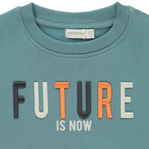 Φούτερ με κέντημα 3D για αγόρι 