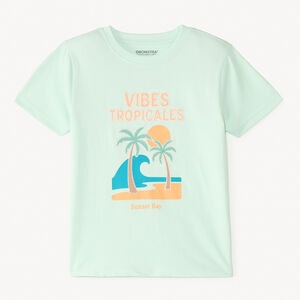 T-shirt με κοντά μανίκια, μονόχρωμο, με καλοκαιρινό σχέδιο για αγόρι 