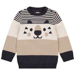 Pull rayé fantaisie pour bébé garçon Main Pull rayé fantaisie pour bébé garçon