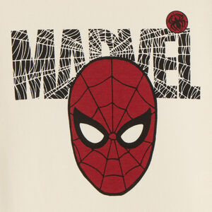 Σακίδιο πικε Spider-Man Marvel αγόρι 