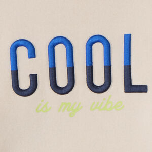 Φούτερ molleton με πολύχρωμο κέντημα για αγόρι 