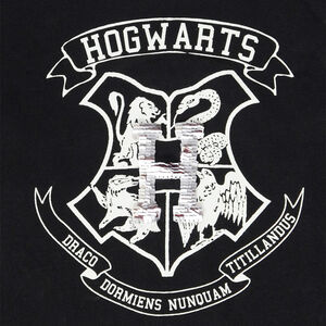 T-shirt manches longues à sequins magiques Harry Potter Warner pour garçon 