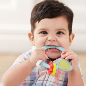 Μασητικό Παιχνίδι 9M808110 Silver Lining Cloud Teethe & Play Toy-Bird 