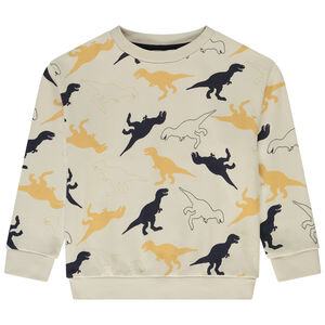 Φούτερ molleton με σχέδιο δεινόσαυρο για αγόρι 