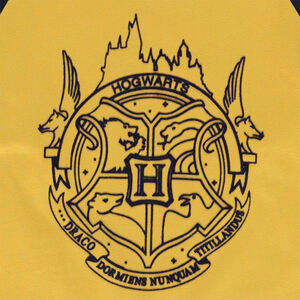 T-shirt μακρυμάνικο ραγλάν από jersey με εκτύπωση Harry Potter Warner 