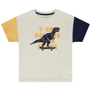T-shirt manches courtes color block print dino pour garçon 