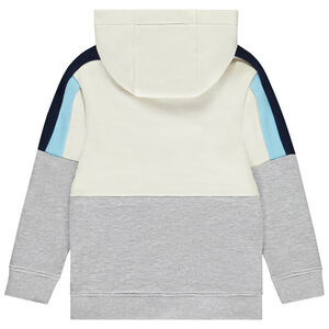 Sweat à capuche effet color block à poches garçon 