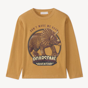 T-shirt manches longues print dinosaure pour garçon  