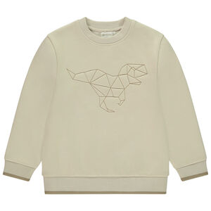 Φούτερ με κέντημα ζώου σε στυλ origami για αγόρι 