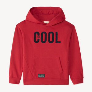 Σα hoodie αγοριού με κέντημα βουρτσιστό 