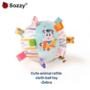 Εκπαιδευτική Μπάλα Αφής – Ζέμπρα 