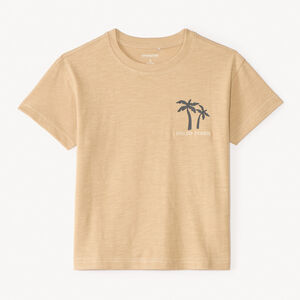 T-shirt κοντομάνικο με ριγέ σχέδιο και εκτύπωση φοινίκων για αγόρια 