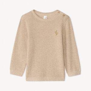 Πλεκτό μονόχρωμο πουλόβερ με κέντημα κακτοειδών για αγόρια μωρά 