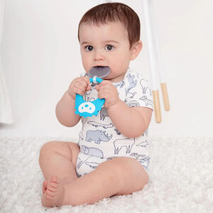 Μασητικο E&M Stay Cool Teether- Σκατζόχοιρος 
