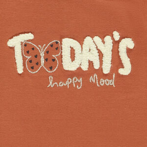 T-shirt μακρυμάνικο με βολάν και φαντεζί σχέδιο για κορίτσι 