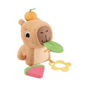 Μαλακό Καπιμπάρα Δραστηριοτήτων 