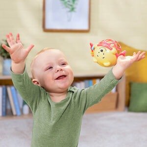 Παιχνίδι Winnie The Pooh Jingle & Shake Disney Baby Bright Starts  