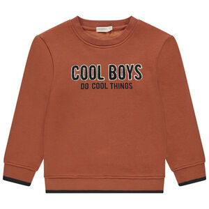 Φούτερ από φλις και βελουτέ + κέντημα για αγόρι 