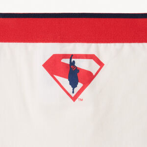 Σετ 3 boxers Superman Warner για αγόρι από jersey με ελαστική μέση 