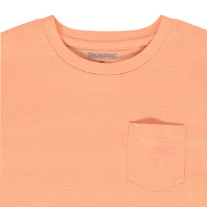 T-shirt κοντομάνικο με τσέπη και σχέδιο φοίνικα 