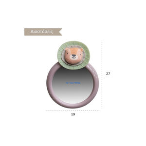 Καθρέφτης Αυτοκινήτου Επίβλεψης 