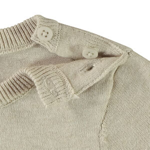 Πλεκτό πουλόβερ με σχέδιο λιοντάρι για μωρό αγόρι 