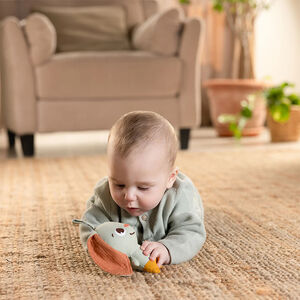 Παιχνιδι Smart Bunny Garden Of Adventures  