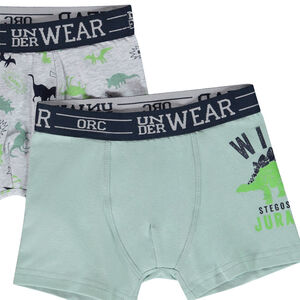 Σετ από 5 boxers με σχέδια Wild Dinos αγόρι 
