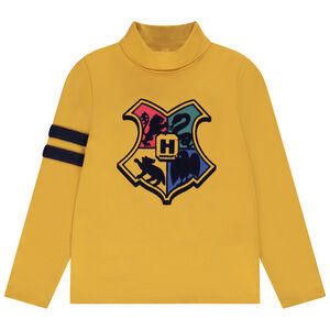 Sous-pull col roulé en jersey Harry Potter pour garçon Main Sous-pull col roulé en jersey Harry Potter pour garçon