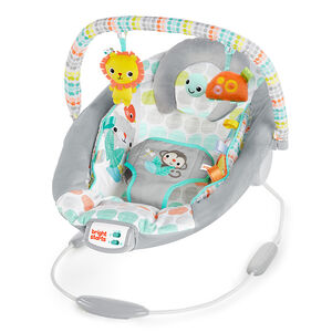  Άνετο Ριλάξ Bright Starts Whimsical Wild 