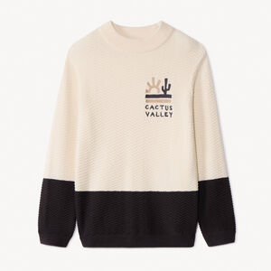 Πλεκτό πουλόβερ φαντεζί effet color block με κέντημα για αγόρι 