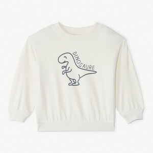 Sweat molleton oversize print dino pour bébé garçon 