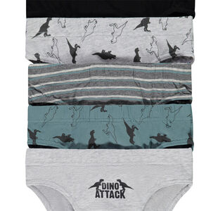 Lot de 5 slips en jersey print dinosaures garçon 