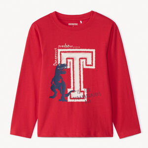 Μακρυμάνικο μπλουζάκι από jersey με φαντεζί σχέδιο για αγόρι 