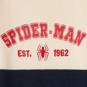 Δίχρωμο πουλόβερ Spider-Man Marvel αγόρι 