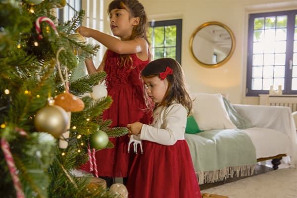 Γιορτινή συλλογή