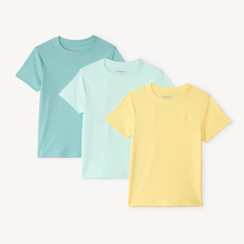 Σετ 3 μονόχρωμων κοντομάνικων μπλουζών με σχέδιο φοίνικα για αγόρι 