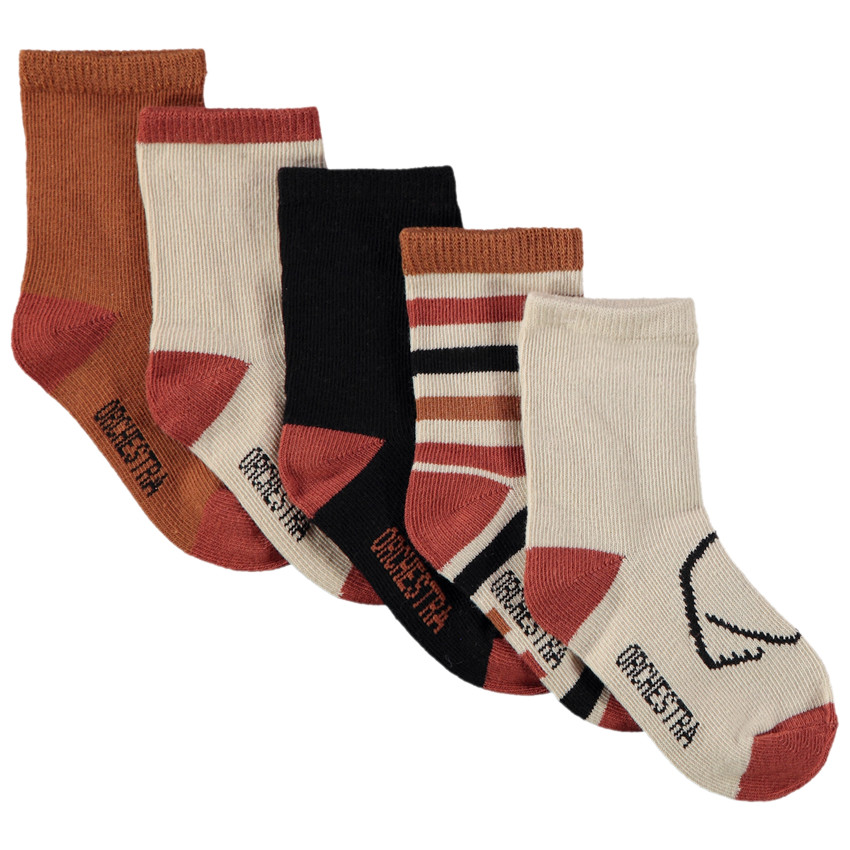 Lot de 5 paires de chaussettes motifs forêt pour garçon 