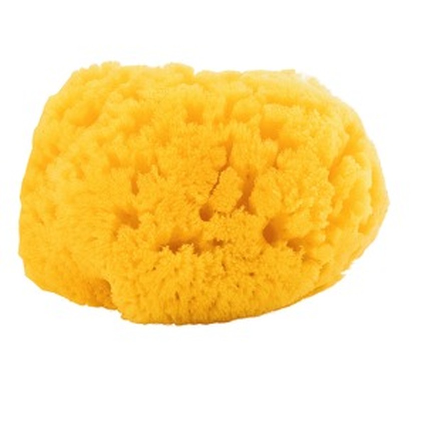 Σφουγγάρι Φυσικό Νεο - Medium  Additional Σφουγγάρι Φυσικό Νεο - Medium